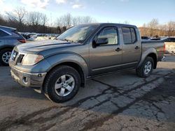 Salvage cars for sale at Marlboro, NY auction: 2009 Nissan Frontier Crew Cab SE