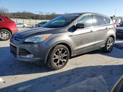 Salvage cars for sale at Lebanon, TN auction: 2013 Ford Escape SEL