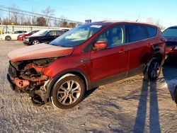 Salvage cars for sale at Walton, KY auction: 2019 Ford Escape SE