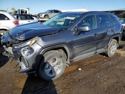 Salvage cars for sale at auction: 2024 Toyota Rav4 XLE