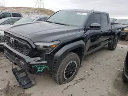 Salvage cars for sale at Littleton, CO auction: 2024 Toyota Tacoma Double Cab