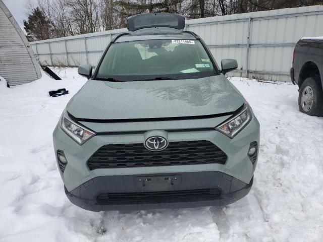 2019 Toyota Rav4 XLE