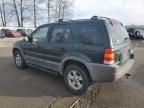 2001 Ford Escape XLT