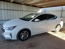 Salvage cars for sale from Copart Andrews, TX: 2019 Hyundai Elantra SEL