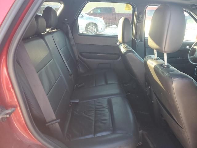 2011 Ford Escape Limited