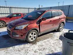 Ford salvage cars for sale: 2015 Ford Escape SE