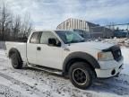 2006 Ford F150