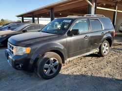 Salvage cars for sale at Tanner, AL auction: 2011 Ford Escape Limited