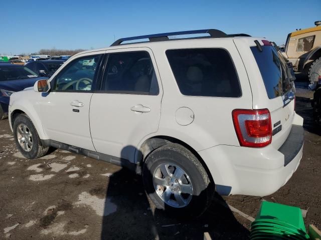 2009 Ford Escape Limited