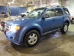 Salvage cars for sale at Woodhaven, MI auction: 2009 Ford Escape XLT