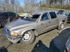 2004 Dodge Dakota Quad SLT