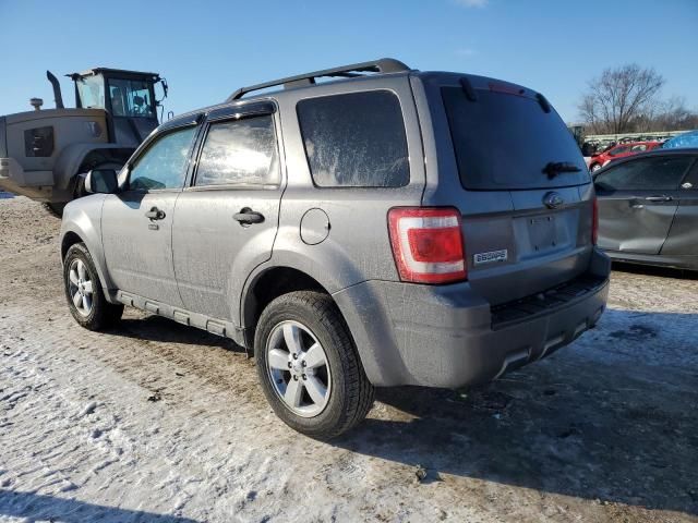 2009 Ford Escape XLT