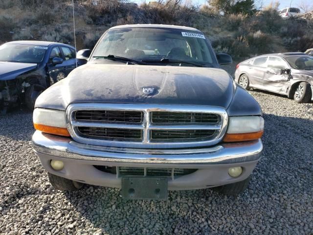 2004 Dodge Dakota Quad SLT