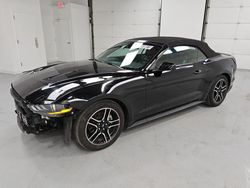 Rental Vehicles for sale at auction: 2023 Ford Mustang