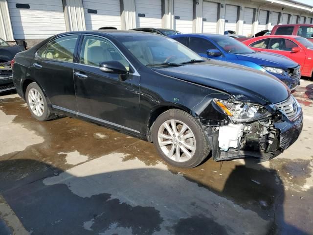 2010 Lexus ES 350