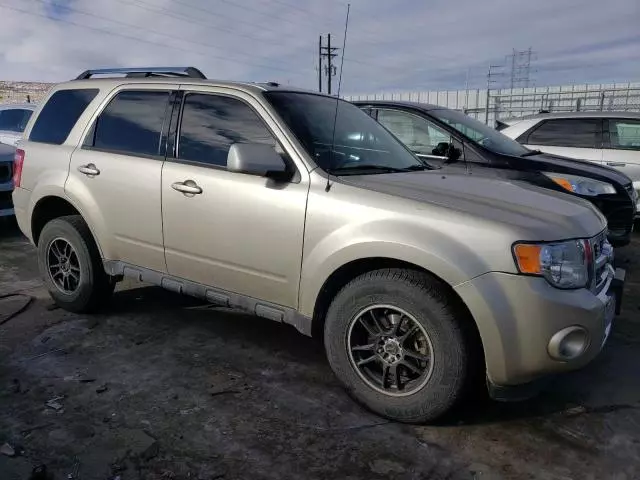 2011 Ford Escape Limited