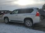 2010 Lexus GX 460