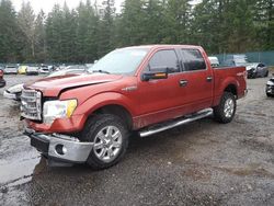 2014 Ford F150 Supercrew en venta en Graham, WA