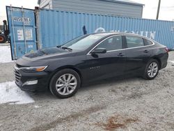 Rental Vehicles for sale at auction: 2024 Chevrolet Malibu LT