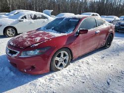 Salvage Cars with No Bids Yet For Sale at auction: 2009 Honda Accord EXL