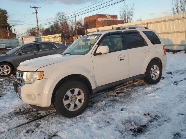 2011 Ford Escape Limited