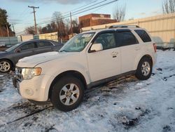 Salvage cars for sale at New Britain, CT auction: 2011 Ford Escape Limited