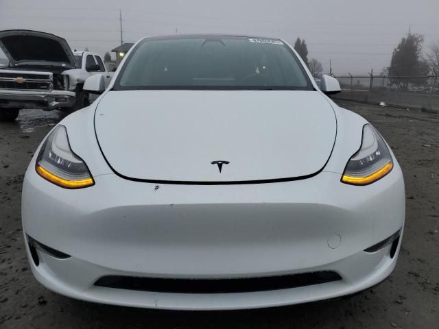 2020 Tesla Model Y