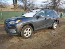 Salvage cars for sale at Laurel, MD auction: 2019 Toyota Rav4 XLE