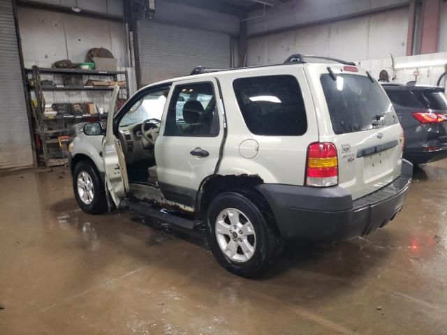 2006 Ford Escape XLT