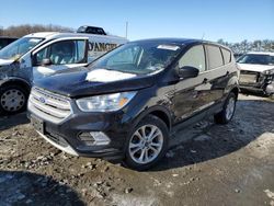 Salvage cars for sale from Copart Windsor, NJ: 2019 Ford Escape SE