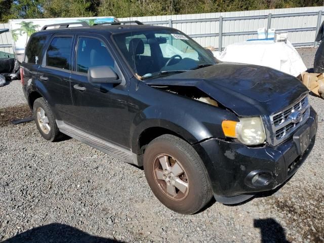 2011 Ford Escape XLT