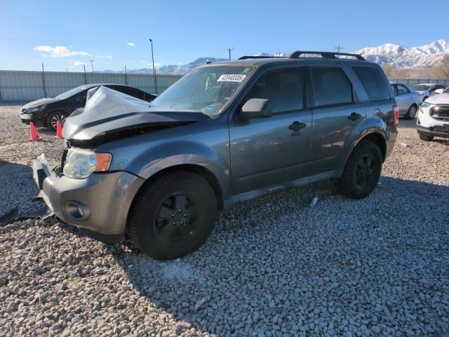 2009 Ford Escape XLT