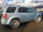 2008 Ford Escape HEV