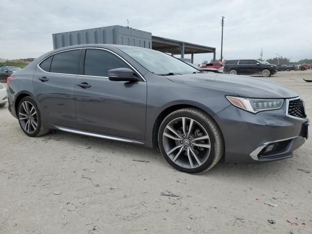 2019 Acura TLX Advance