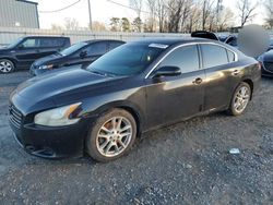 Clean Title Cars for sale at auction: 2010 Nissan Maxima S