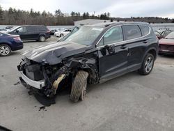 Salvage cars for sale at Windham, ME auction: 2023 Hyundai Santa FE SE