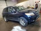 2009 Hyundai Santa FE SE