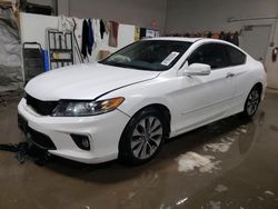 Salvage cars for sale at Elgin, IL auction: 2014 Honda Accord EXL