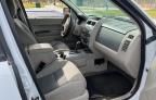 2008 Ford Escape HEV