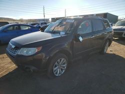 Vehiculos salvage en venta de Copart Colorado Springs, CO: 2013 Subaru Forester Limited