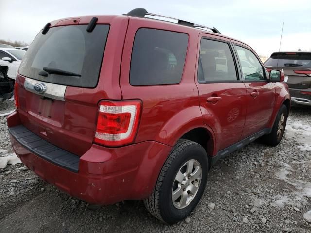 2011 Ford Escape Limited