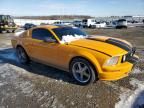 2007 Ford Mustang GT