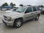 2002 Chevrolet Trailblazer