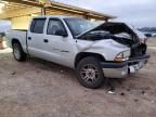 2001 Dodge Dakota Quattro