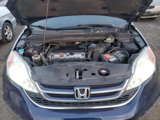 2010 Honda CR-V EXL