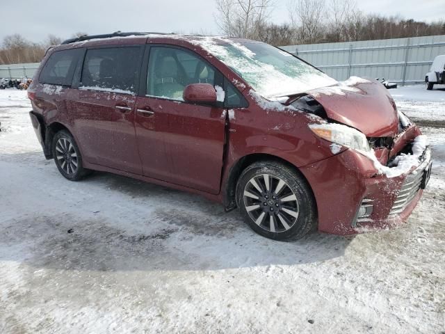 2020 Toyota Sienna XLE