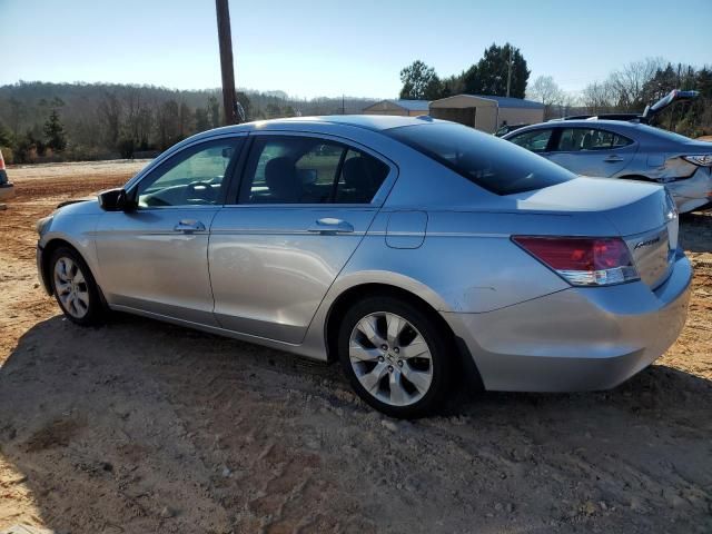 2010 Honda Accord EXL