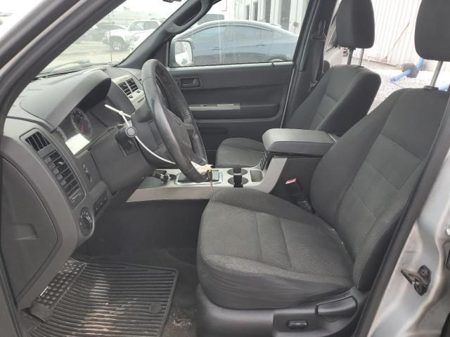 2009 Ford Escape XLT