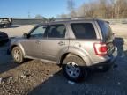 2010 Ford Escape Limited