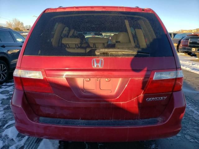 2005 Honda Odyssey EXL